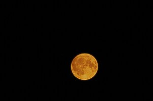Erdbeermond-2-100625.jpg