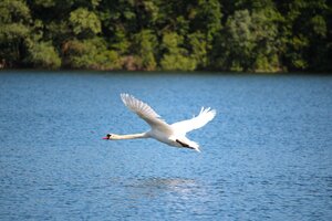 IMG_8955.JPG