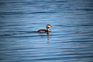 IMG_8961.JPG