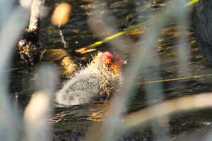 IMG_8965.JPG
