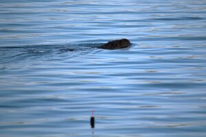 IMG_8969.JPG