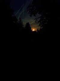 20250611_224628.jpg