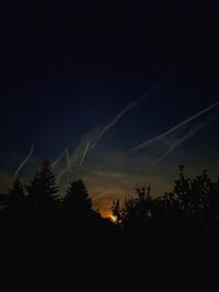 20250611_224942.jpg