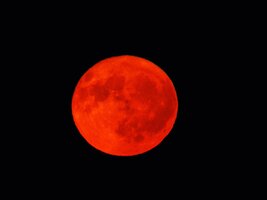 Strawberry Moon June 11 2025 for pub.jpg