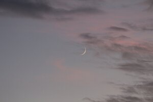 IMG_0506.JPG