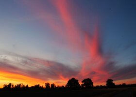 IMG_9069.JPG
