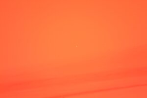 IMG_9838.JPG