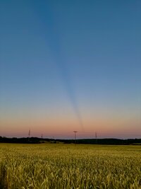 IMG_4048.jpeg