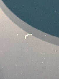 IMG_5768.jpeg