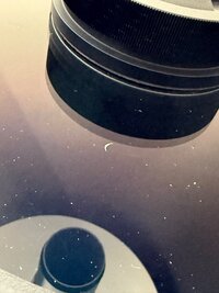IMG_5767.jpeg