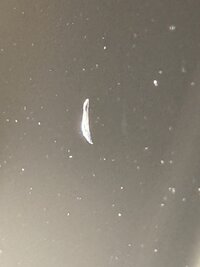 IMG_5852.jpeg