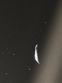 IMG_5856.jpeg
