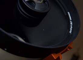 IMG_5869.jpeg