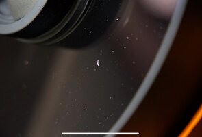 IMG_5866.jpeg