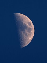 DSCF9907_crop.JPG