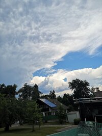 IMG_20250701_140806.jpg