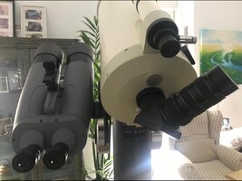 IMG_0139.jpeg