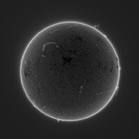 IMG_3158.jpeg