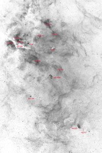 Preprocessing03_Gemäßigt_StarCompress_Denoise_2_Negative_Small.jpg