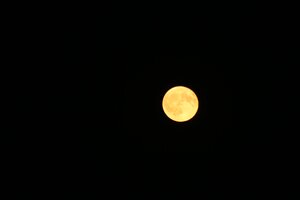 IMG_0370.JPG