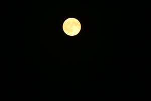 IMG_0380.JPG