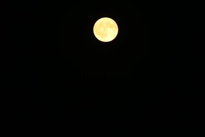 IMG_0383.JPG