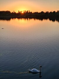 20250825_201359.jpg