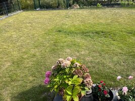 IMG_6082.jpg