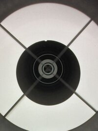 IMG_1303.jpeg IMG_1303.jpeg