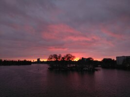 IMG_20250901_1955.jpg