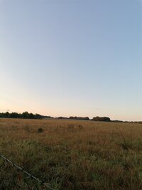 IMG_20250903_063551.jpg