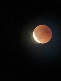 IMG_7795.jpeg