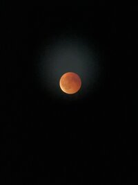 IMG_7791.jpeg