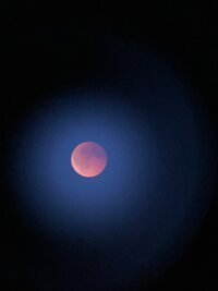 IMG_7788.jpeg