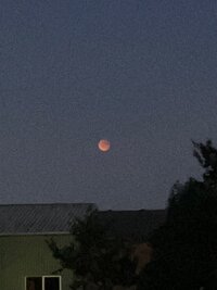 IMG_7786.jpeg