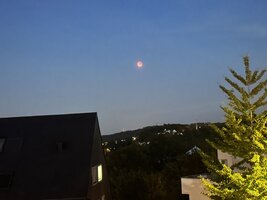 IMG_5228.jpeg