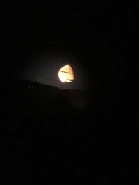 IMG_7819.jpeg