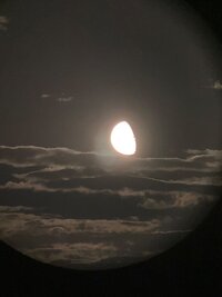 IMG_7820.jpeg