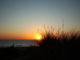 IMG_9697.JPG