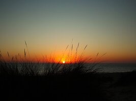 IMG_9702.JPG