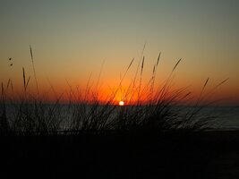 IMG_9703.JPG