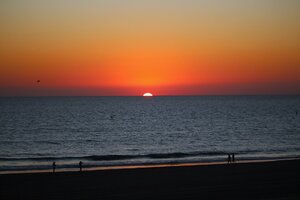 IMG_9704.JPG