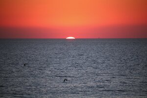 IMG_9707.JPG