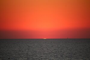 IMG_9709.JPG