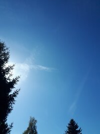 20250919_140718.jpg