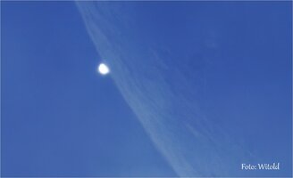 Venus_1_1758288595201 Kopie.jpg