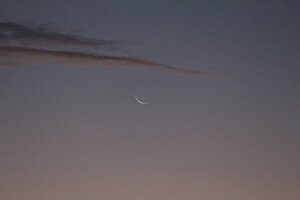 IMG_0009.JPG