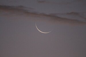 IMG_0010.JPG
