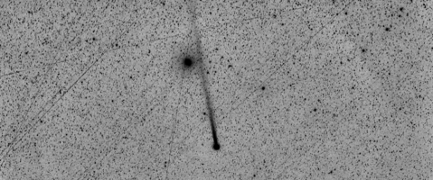 Preprocessing01_stretched_GraXpert_2_negative_crop.png