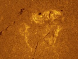 20251003-2025-10-03-0935_4-Sonne3_lapl5_ap25456_conv_PI.jpg